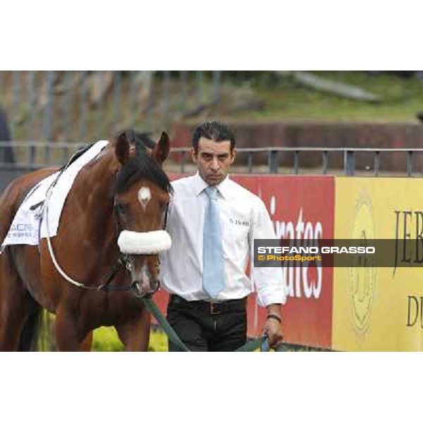 Djordje Perovic on Refuse to Bobbin wins the Premio Presidente della Repubblica GBI Racing Rome, Capannelle racecourse,11th may 2014 photo Stefano Grasso