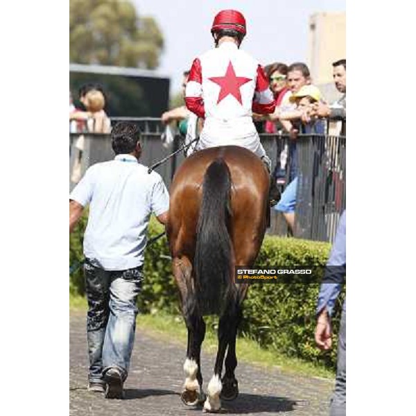 Carlo Fiocchi on Valvibrata wins the Premio Mario Perretti Mujahid Stakes Rome, Capannelle racecourse,11th may 2014 photo Stefano Grasso