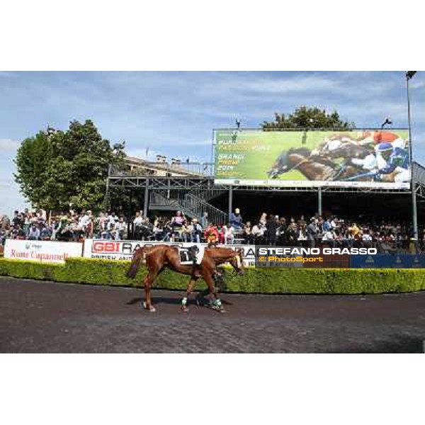 Germano Marcelli on Jelabi-PSA wins the Premio HH Sheikh Hamdan Al Maktoum Premio No Risk Al Maury Rome, Capannelle racecourse,11th may 2014 photo Stefano Grasso