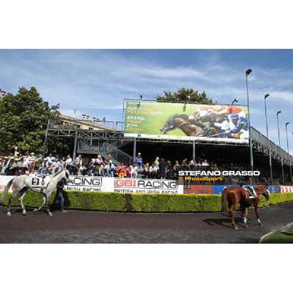 Germano Marcelli on Jelabi-PSA wins the Premio HH Sheikh Hamdan Al Maktoum Premio No Risk Al Maury Rome, Capannelle racecourse,11th may 2014 photo Stefano Grasso