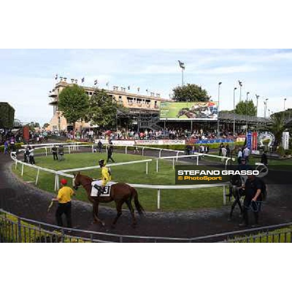 Germano Marcelli on Jelabi-PSA wins the Premio HH Sheikh Hamdan Al Maktoum Premio No Risk Al Maury Rome, Capannelle racecourse,11th may 2014 photo Stefano Grasso