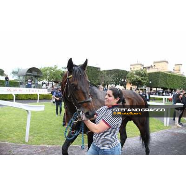 Andrea Atzeni on Marvi Thunders wins the Premio Emirates Airline Rome, Capannelle racecourse,11th may 2014 photo Stefano Grasso