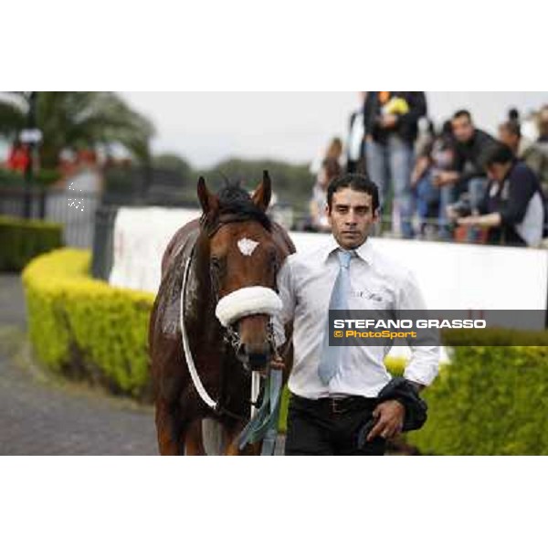 Andrea Atzeni on Cospirator wins the Premio Naip Stakes Rome, Capannelle racecourse,11th may 2014 photo Stefano Grasso