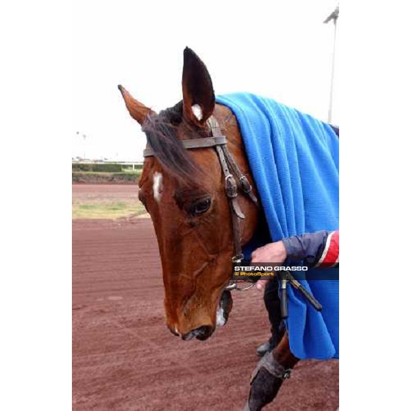 close up for Kesaco Phedo after the race Criterium de Vitesse Cagnes sur Mer march 14 2004 ph.Stefano Grasso