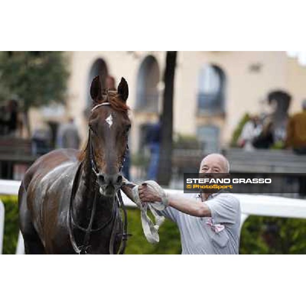 Gavino Sanna on Sibillina - PSA wins the Premio Madjani Shadwell Arabian Stakes Rome, Capannelle racecourse,11th may 2014 photo Stefano Grasso