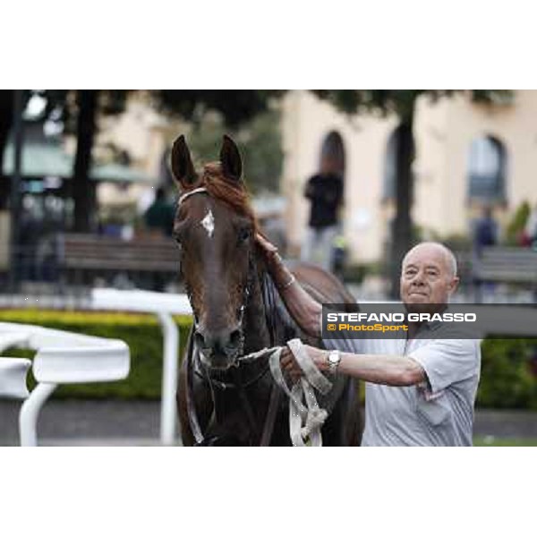 Gavino Sanna on Sibillina - PSA wins the Premio Madjani Shadwell Arabian Stakes Rome, Capannelle racecourse,11th may 2014 photo Stefano Grasso