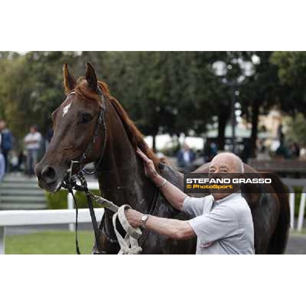 Gavino Sanna on Sibillina - PSA wins the Premio Madjani Shadwell Arabian Stakes Rome, Capannelle racecourse,11th may 2014 photo Stefano Grasso