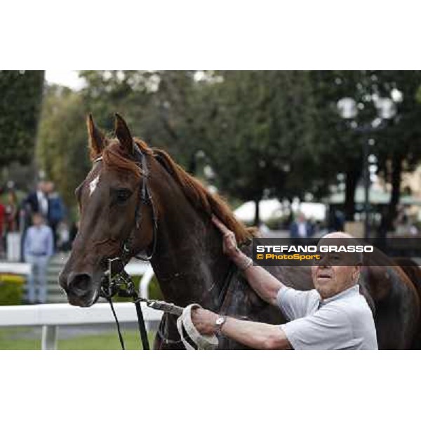 Gavino Sanna on Sibillina - PSA wins the Premio Madjani Shadwell Arabian Stakes Rome, Capannelle racecourse,11th may 2014 photo Stefano Grasso