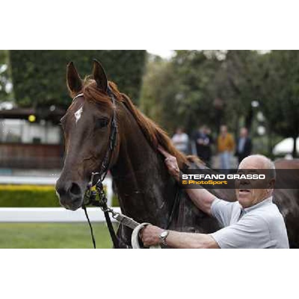 Gavino Sanna on Sibillina - PSA wins the Premio Madjani Shadwell Arabian Stakes Rome, Capannelle racecourse,11th may 2014 photo Stefano Grasso