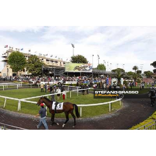 Djordje Perovic on Refuse to Bobbin wins the Premio Presidente della Repubblica GBI Racing Rome, Capannelle racecourse,11th may 2014 photo Domenico Savi/Grasso