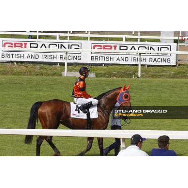 Djordje Perovic on Refuse to Bobbin wins the Premio Presidente della Repubblica GBI Racing Rome, Capannelle racecourse,11th may 2014 photo Domenico Savi/Grasso
