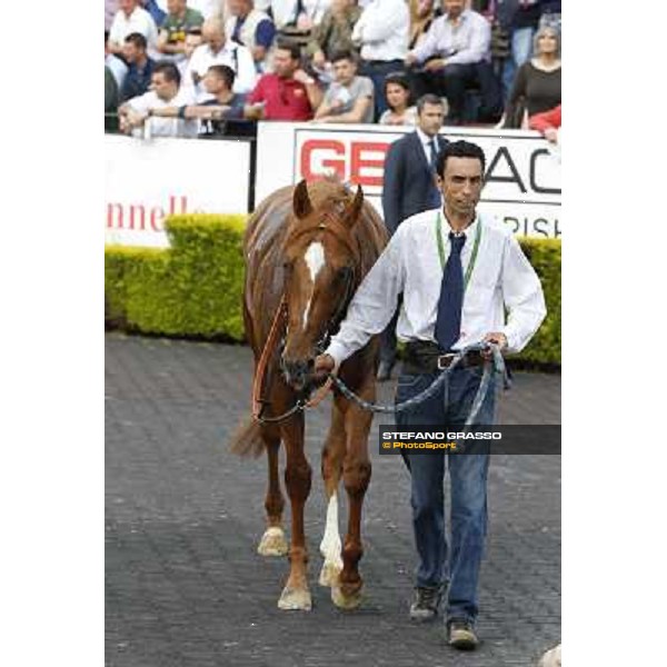 Djordje Perovic on Refuse to Bobbin wins the Premio Presidente della Repubblica GBI Racing Rome, Capannelle racecourse,11th may 2014 photo Domenico Savi/Grasso
