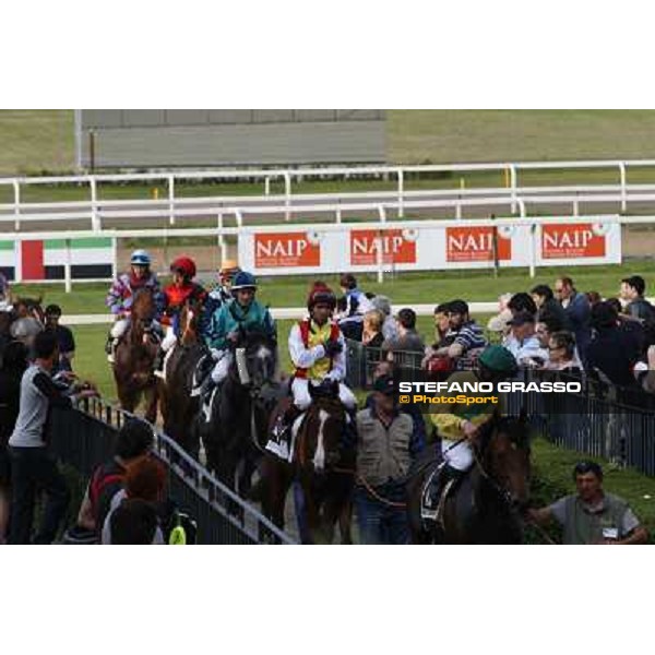 The horses of the Premio Naip Stakes return home after the race Rome, Capannelle racecourse,11th may 2014 photo Domenico Savi/Grasso