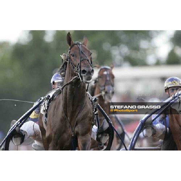 clopse up for Unforgettable winner of 110.o Deutsches Traber Derby Berlin Mariendorf, 7th august 2005 ph. Stefano Grasso