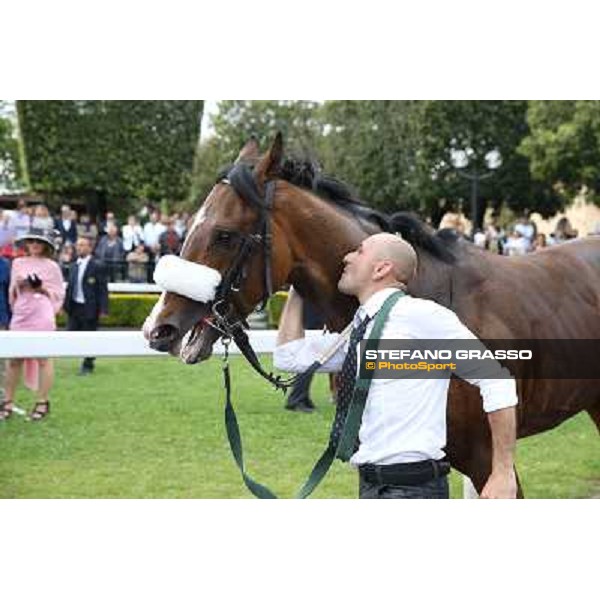 caressed for Dylan Mouth after winning the 131° Derby Italiano Rome,Capannelle Racecourse,18th may 2014 ph.Stefano Grasso/HippoGroup Roma Capannelle