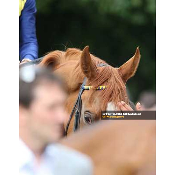 a close up for Final Score Milano - San Siro racecourse - Oaks d\'Italia Day Milano,25th may 2014 ph.Stefano Grasso/IppodromoMilano