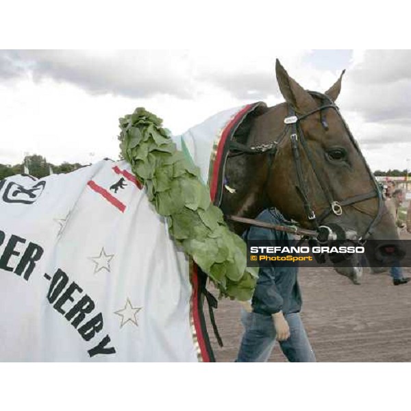 close up for Unforgettable winner of the 110.o Deutsches Traber Derby Berlin Mariendorf, 7th august 2005 ph. Stefano Grasso
