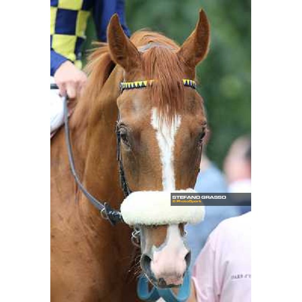a close up for Final Score Milano - San Siro racecourse - Oaks d\'Italia Day Milano,25th may 2014 ph.Stefano Grasso/IppodromoMilano