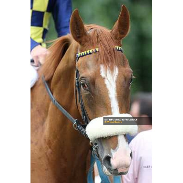 a close up for Final Score Milano - San Siro racecourse - Oaks d\'Italia Day Milano,25th may 2014 ph.Stefano Grasso/IppodromoMilano