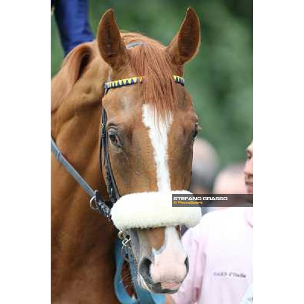 a close up for Final Score Milano - San Siro racecourse - Oaks d\'Italia Day Milano,25th may 2014 ph.Stefano Grasso/IppodromoMilano