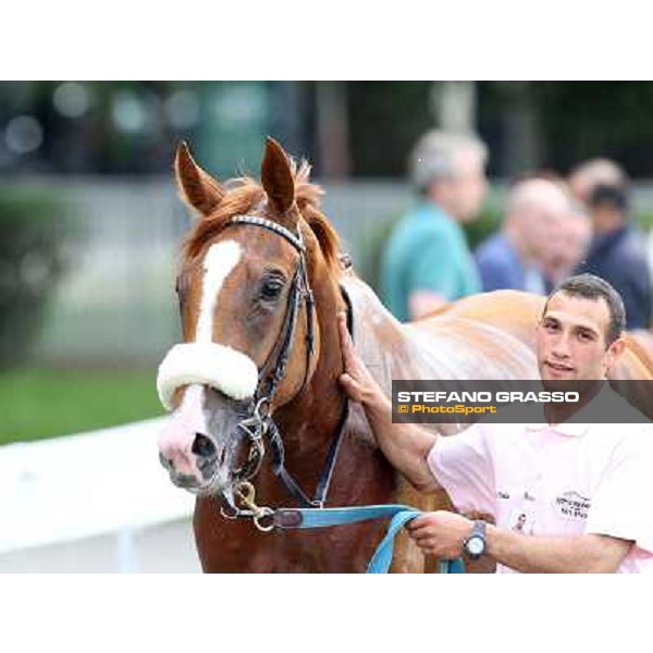 Portraits for Final Score Milano - San Siro racecourse - Oaks d\'Italia Day Milano,25th may 2014 ph.Stefano Grasso/IppodromoMilano