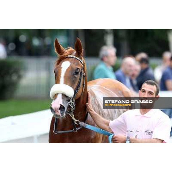Portraits for Final Score Milano - San Siro racecourse - Oaks d\'Italia Day Milano,25th may 2014 ph.Stefano Grasso/IppodromoMilano