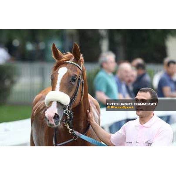 Portraits for Final Score Milano - San Siro racecourse - Oaks d\'Italia Day Milano,25th may 2014 ph.Stefano Grasso/IppodromoMilano