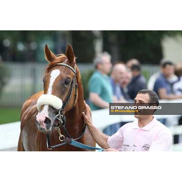 Portraits for Final Score Milano - San Siro racecourse - Oaks d\'Italia Day Milano,25th may 2014 ph.Stefano Grasso/IppodromoMilano