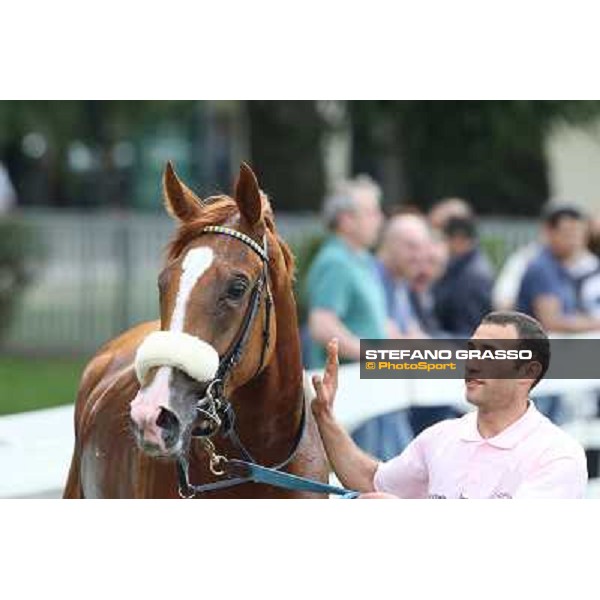 Portraits for Final Score Milano - San Siro racecourse - Oaks d\'Italia Day Milano,25th may 2014 ph.Stefano Grasso/IppodromoMilano