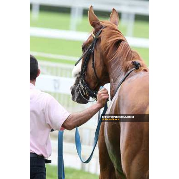 Portraits for Final Score Milano - San Siro racecourse - Oaks d\'Italia Day Milano,25th may 2014 ph.Stefano Grasso/IppodromoMilano