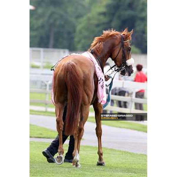 Portraits for Final Score Milano - San Siro racecourse - Oaks d\'Italia Day Milano,25th may 2014 ph.Stefano Grasso/IppodromoMilano