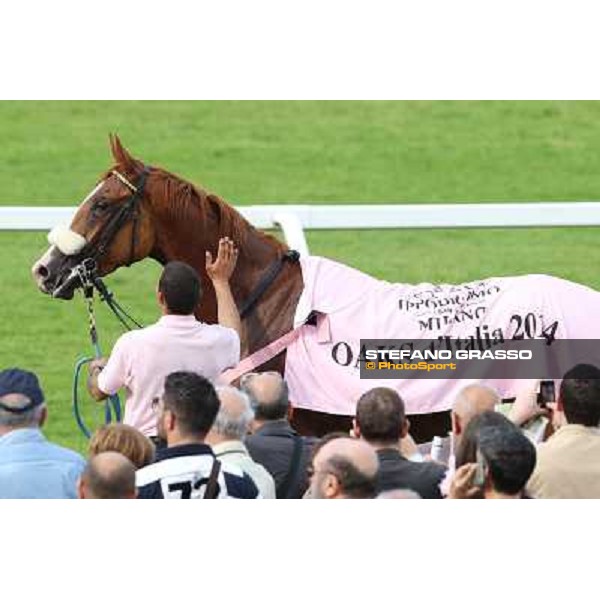 Portraits for Final Score Milano - San Siro racecourse - Oaks d\'Italia Day Milano,25th may 2014 ph.Stefano Grasso/IppodromoMilano