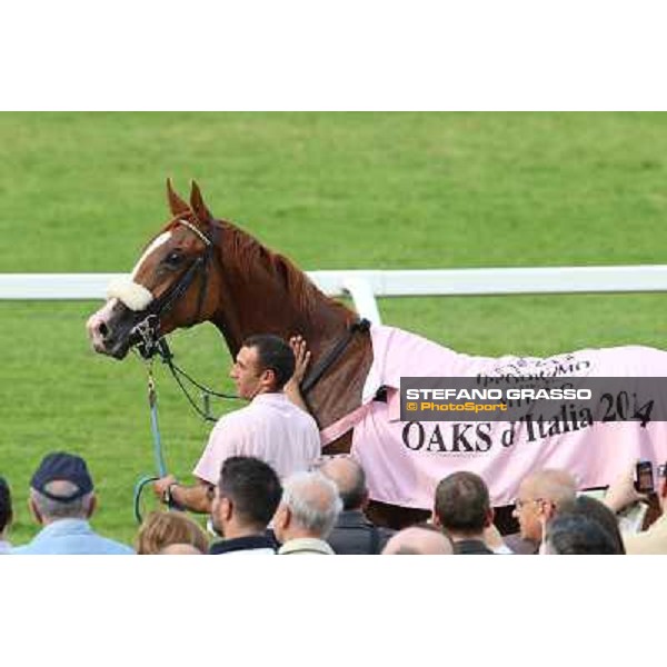 Portraits for Final Score Milano - San Siro racecourse - Oaks d\'Italia Day Milano,25th may 2014 ph.Stefano Grasso/IppodromoMilano