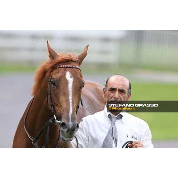 Priore Philip and his groom after winning the Premio Carlo Vittadini - Trofeo Corriere della Sera Milano - San Siro racecourse - Oaks d\'Italia Day Milano,25th may 2014 ph.Stefano Grasso/IppodromoMilano