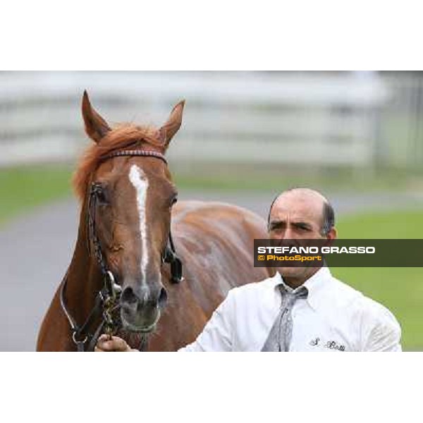 Priore Philip and his groom after winning the Premio Carlo Vittadini - Trofeo Corriere della Sera Milano - San Siro racecourse - Oaks d\'Italia Day Milano,25th may 2014 ph.Stefano Grasso/IppodromoMilano