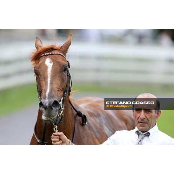 Priore Philip and his groom after winning the Premio Carlo Vittadini - Trofeo Corriere della Sera Milano - San Siro racecourse - Oaks d\'Italia Day Milano,25th may 2014 ph.Stefano Grasso/IppodromoMilano