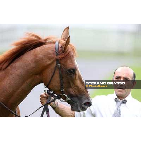 Priore Philip and his groom after winning the Premio Carlo Vittadini - Trofeo Corriere della Sera Milano - San Siro racecourse - Oaks d\'Italia Day Milano,25th may 2014 ph.Stefano Grasso/IppodromoMilano