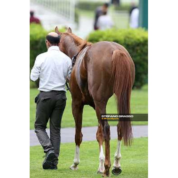 Priore Philip and his groom after winning the Premio Carlo Vittadini - Trofeo Corriere della Sera Milano - San Siro racecourse - Oaks d\'Italia Day Milano,25th may 2014 ph.Stefano Grasso/IppodromoMilano