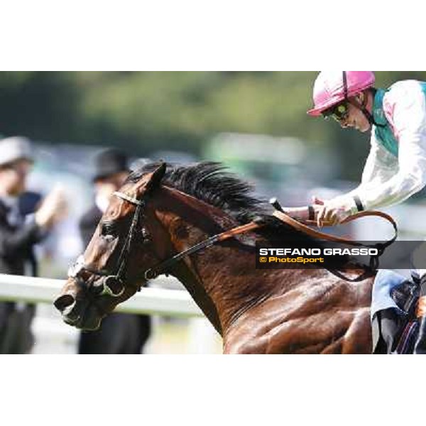 James Doyle on Kingman wins the St James\'s Palace Stakes Ascot, Royal Ascot 17th june 2014 ph.Stefano Grasso