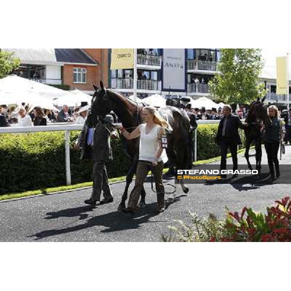 William Buick on The Fugue wins the Prince of Wales\'s Stakes Ascot, Royal Ascot 18th june 2014 ph.Stefano Grasso