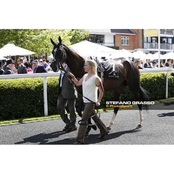 William Buick on The Fugue wins the Prince of Wales\'s Stakes Ascot, Royal Ascot 18th june 2014 ph.Stefano Grasso