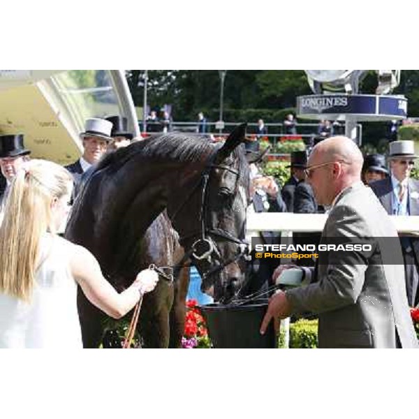 William Buick on The Fugue wins the Prince of Wales\'s Stakes Ascot, Royal Ascot 18th june 2014 ph.Stefano Grasso