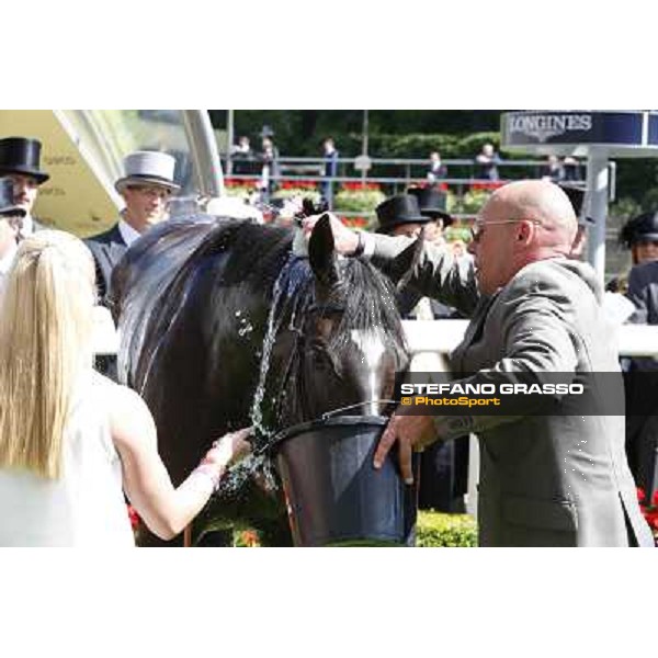 William Buick on The Fugue wins the Prince of Wales\'s Stakes Ascot, Royal Ascot 18th june 2014 ph.Stefano Grasso