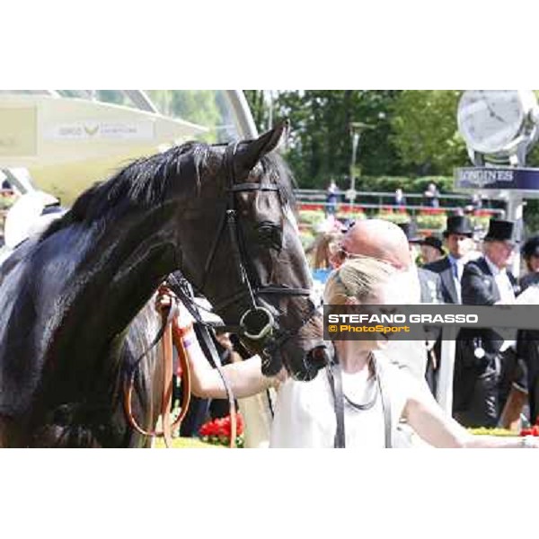 William Buick on The Fugue wins the Prince of Wales\'s Stakes Ascot, Royal Ascot 18th june 2014 ph.Stefano Grasso