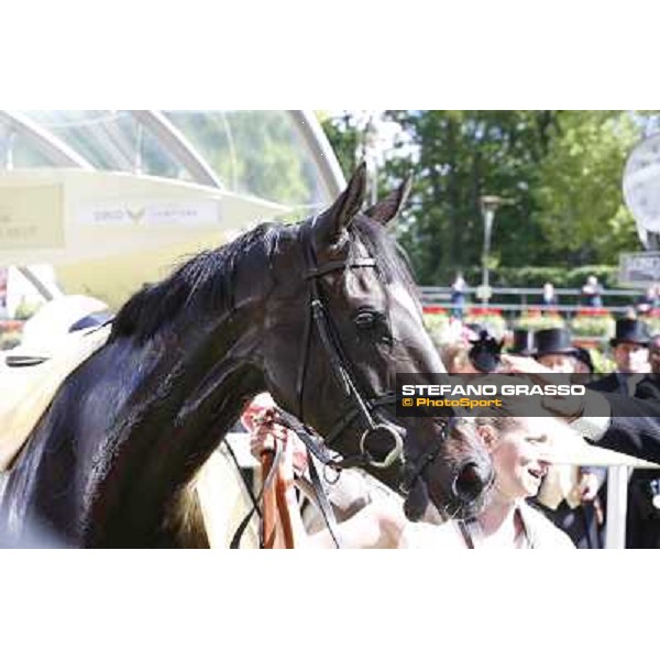 William Buick on The Fugue wins the Prince of Wales\'s Stakes Ascot, Royal Ascot 18th june 2014 ph.Stefano Grasso
