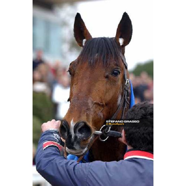 close up for Kesaco Phedo Criterium de Vitesse Cagnes sur Mer march 14 2004 ph.Stefano Grasso