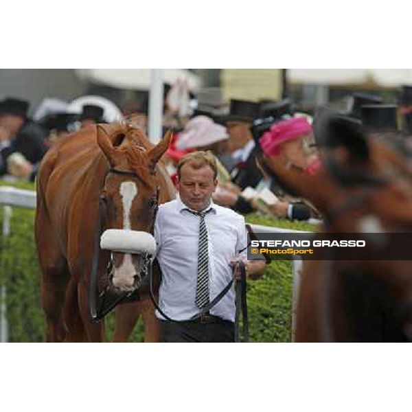 The Ribblesdale Stakes - Final Score Ascot, Royal Ascot 19th june 2014 ph.Stefano Grasso