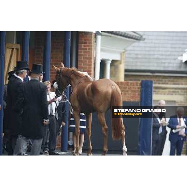 The Ribblesdale Stakes - Final Score Ascot, Royal Ascot 19th june 2014 ph.Stefano Grasso