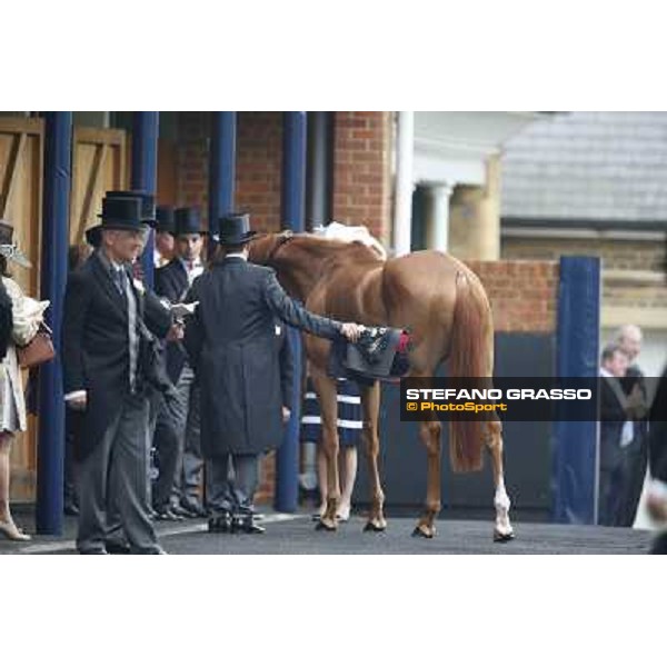 The Ribblesdale Stakes - Final Score Ascot, Royal Ascot 19th june 2014 ph.Stefano Grasso