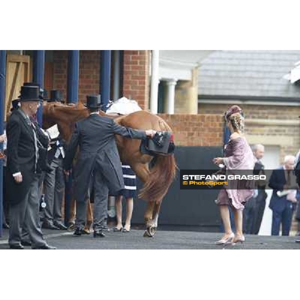 The Ribblesdale Stakes - Final Score Ascot, Royal Ascot 19th june 2014 ph.Stefano Grasso